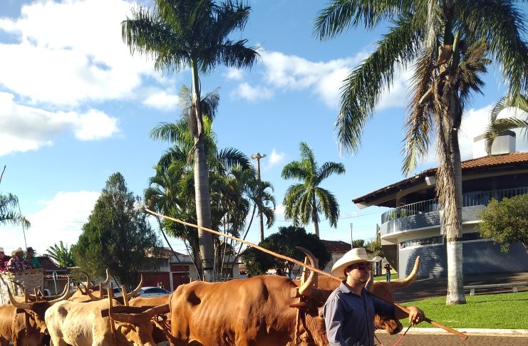 CAVALGADA MOVIMENTA A CIDADE DE PANAMÁ NA 5ª FESTA DO PEÃO E 2ª FEIRA  AGROINDUSTRIAL - Jornal Cidades - um Jornal de Verdade